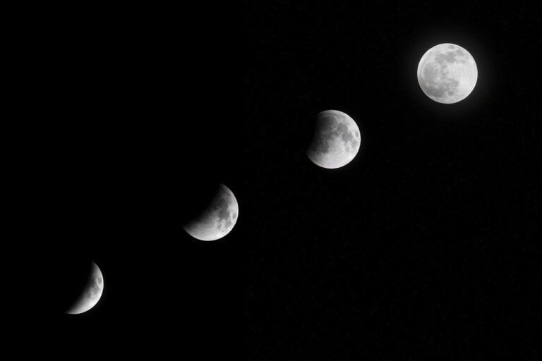 as quatro fases da lua